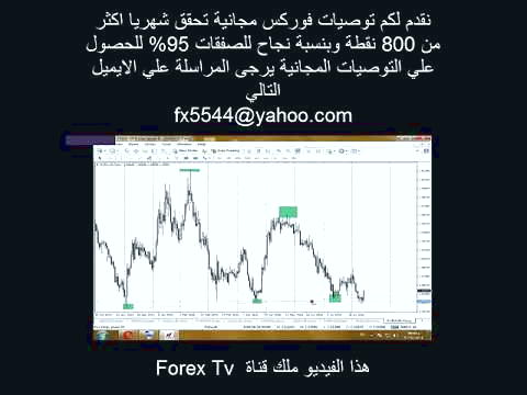 دوج کوین در مقابل بیت کوین